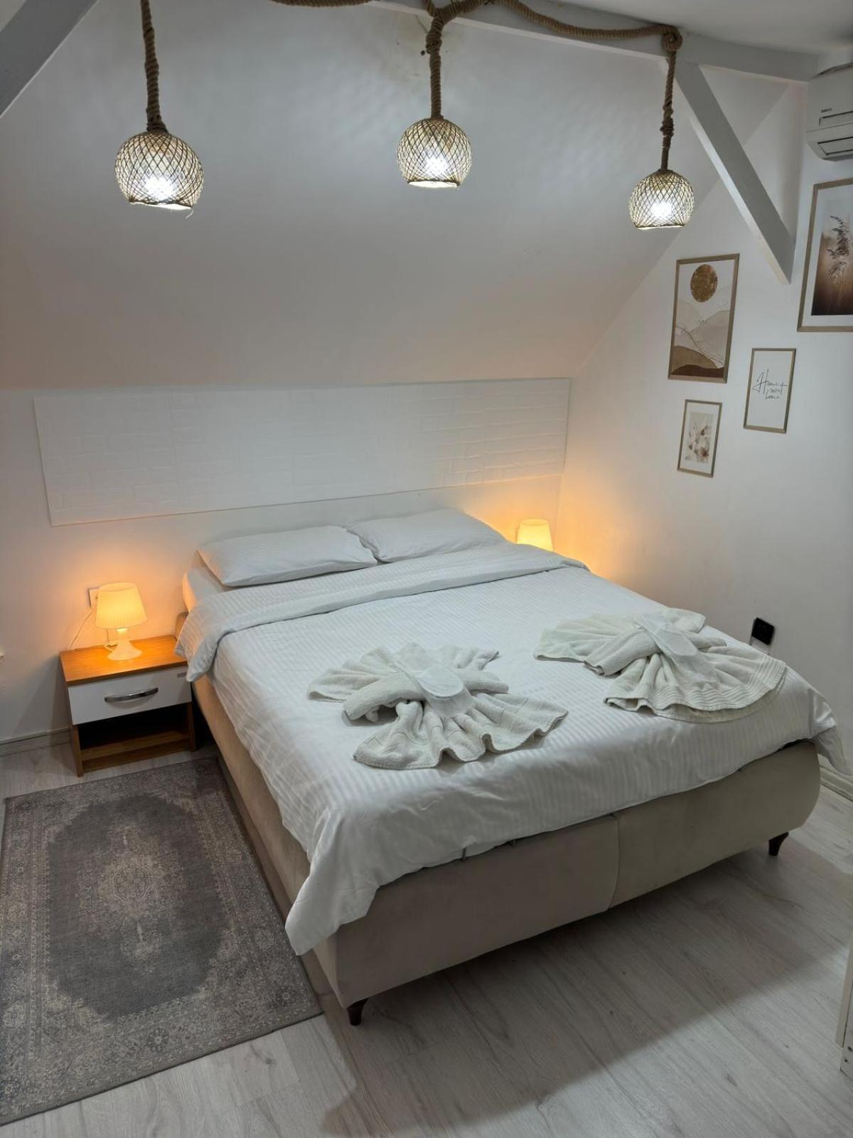 Hotel Antique And